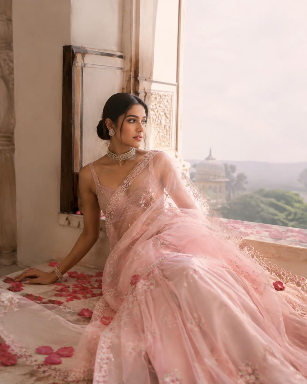 Blush organza saree — Rose at the Palace Window